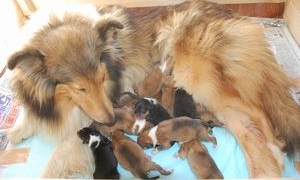 Thumbnail of post image 151