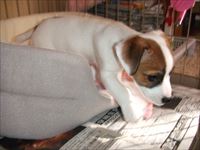 Thumbnail of post image 126