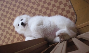 Thumbnail of post image 101