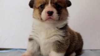 Thumbnail of post image 000