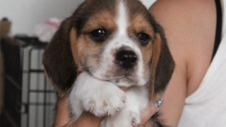 Thumbnail of post image 075