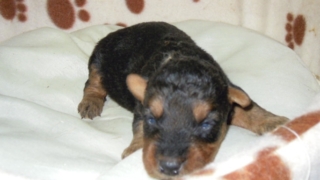 Thumbnail of post image 040