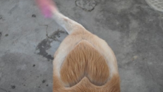 Thumbnail of post image 102