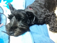 Thumbnail of post image 049