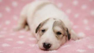 Thumbnail of post image 008