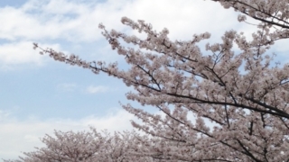 荒子川公園