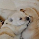 Thumbnail of post image 027