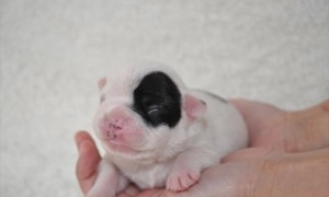 Thumbnail of post image 139