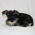 Thumbnail of post image 020