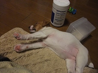 Thumbnail of post image 073