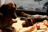 Thumbnail of post image 155