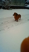 Thumbnail of post image 045