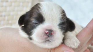 Thumbnail of post image 115