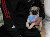 Thumbnail of post image 009
