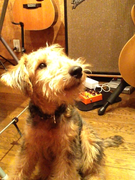 Thumbnail of post image 037