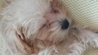 Thumbnail of post image 141