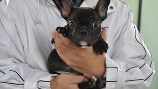 Thumbnail of post image 035
