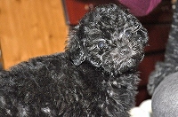 Thumbnail of post image 071