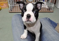 Thumbnail of post image 017