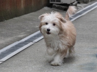Thumbnail of post image 127