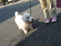 Thumbnail of post image 034