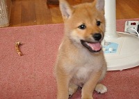 Thumbnail of post image 144