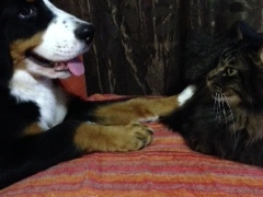 Thumbnail of post image 128