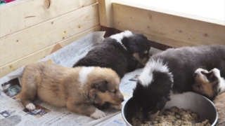 Thumbnail of post image 043