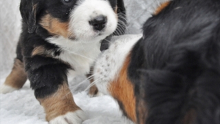 Thumbnail of post image 088