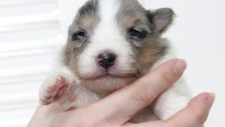 Thumbnail of post image 146