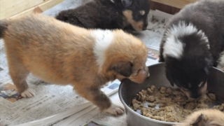 Thumbnail of post image 033