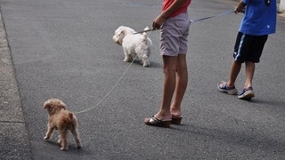 Thumbnail of post image 001
