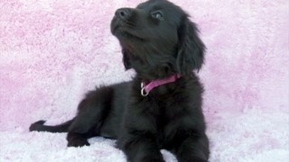 Thumbnail of post image 096