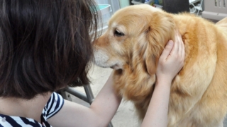 Thumbnail of post image 019