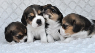 Thumbnail of post image 092