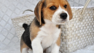 Thumbnail of post image 019