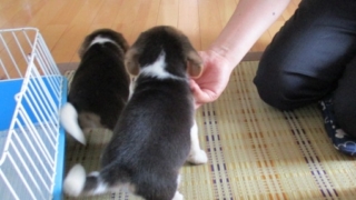 Thumbnail of post image 094