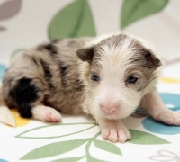 Thumbnail of post image 018