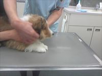Thumbnail of post image 108
