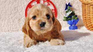 Thumbnail of post image 042