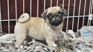 Thumbnail of post image 022