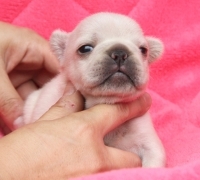 Thumbnail of post image 006