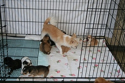 Thumbnail of post image 166