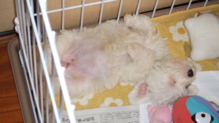 Thumbnail of post image 167