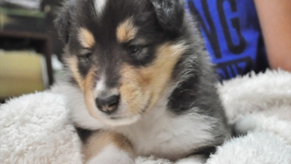 Thumbnail of post image 002