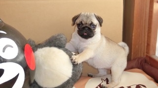 Thumbnail of post image 027