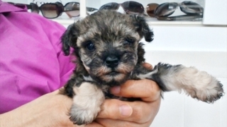 Thumbnail of post image 049