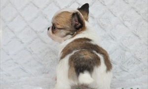 Thumbnail of post image 046