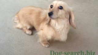 Thumbnail of post image 155