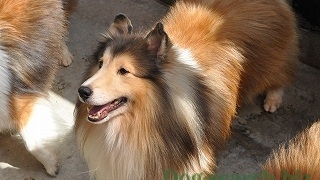 Thumbnail of post image 086